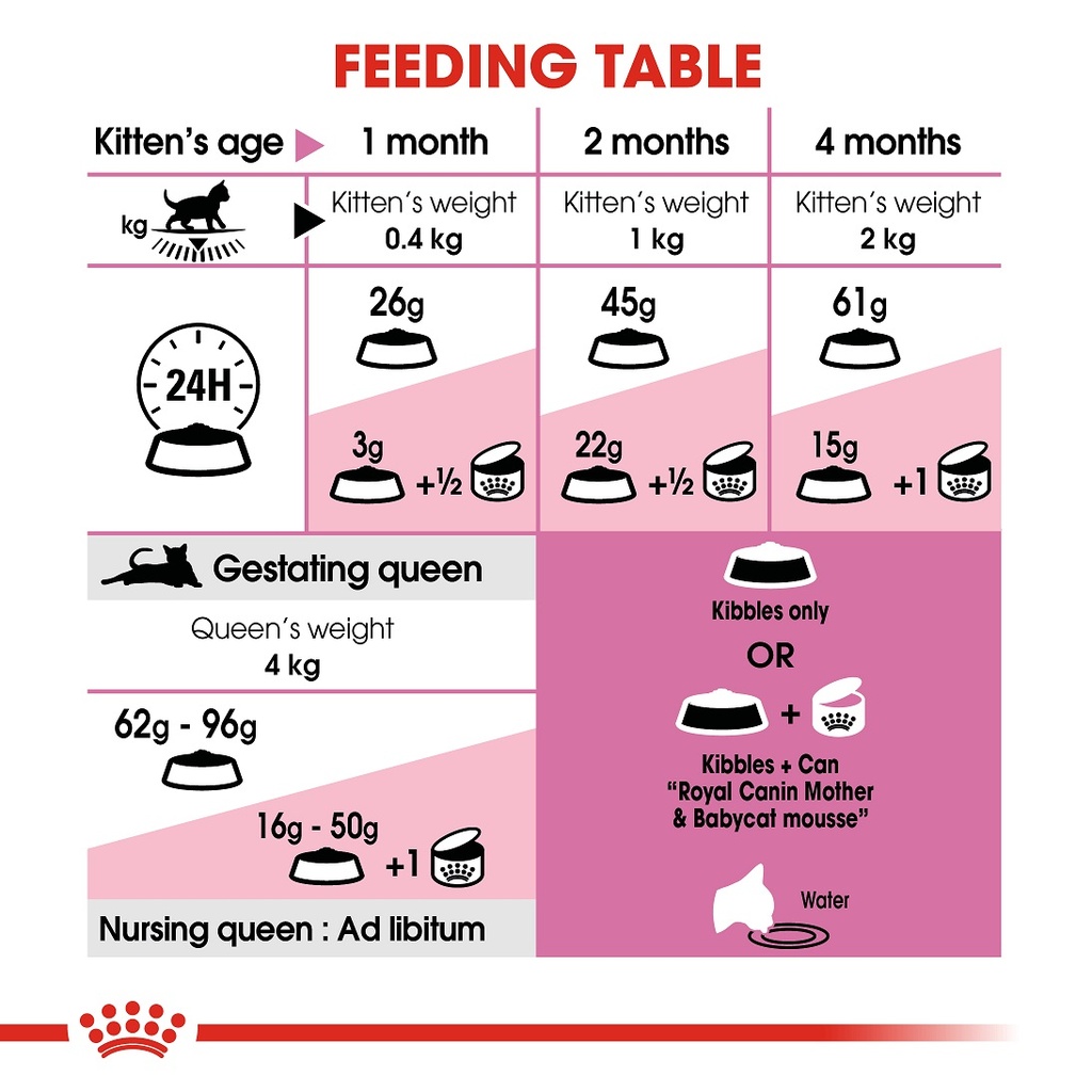 Royal canin best sale feeding guide cat